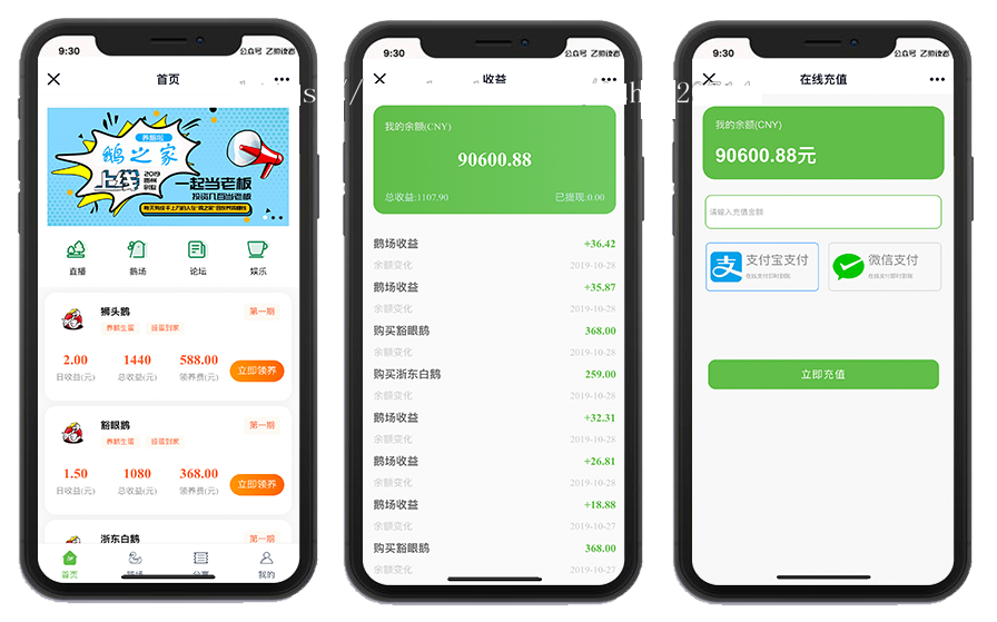 鸡之家鹅之家区块链养殖系统源码/机器人区块链/发圈赚钱系统/挖矿挂机理财分红