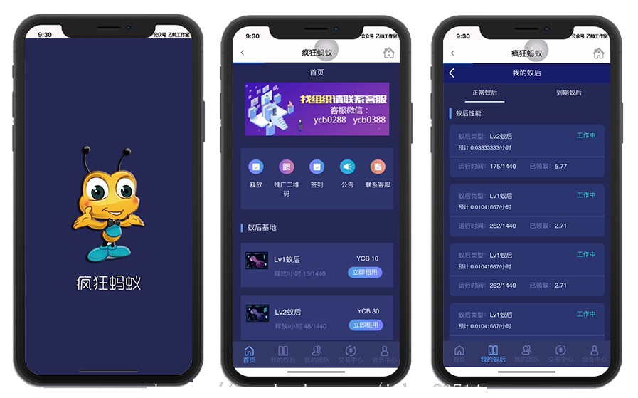 疯狂蚂蚁区块源码矿池模式/挖矿/区块链模式资金盘/全开源可二开可定制
