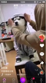 2021最新云豹二开/直播/短视频/带教程/带开发文档