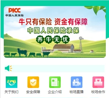 2021整理修复版养牛农场/理财源码/支付已接/带完整视频教程